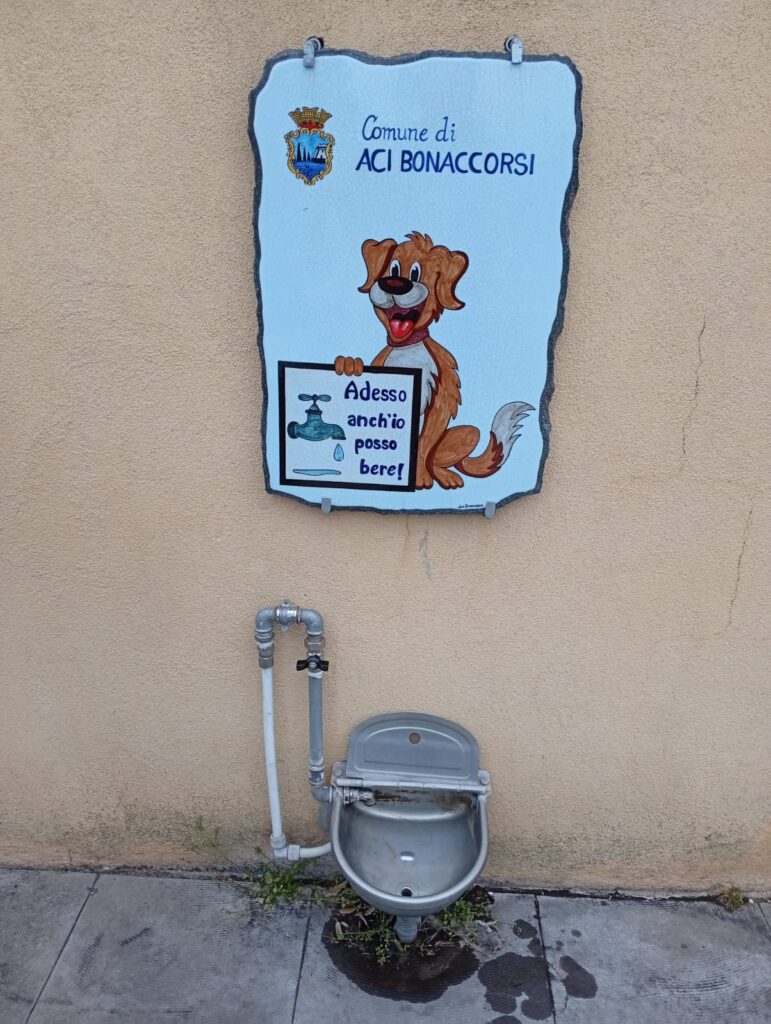 Aci Bonaccorsi