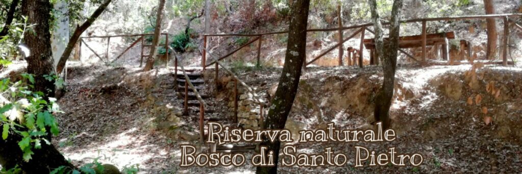 Bosco do Santo Pietro