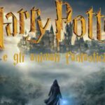 Harry Potter fest