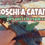 Boschi a Catania