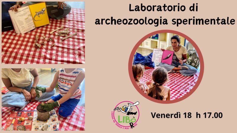 laboratorio di archeozoologia